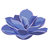 Lapis & Lotus Center