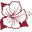 Lappert's Hawaii