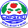 Lapseki Municipality