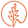 Primary School Des Marronniers