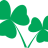 Larkin Electrical & Data