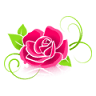 La Rosa - Art & Wine