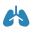Lung Asthma & Sleep Associates, P.C.