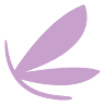 LASHBAR Solana Beach | San Diego Eyelash Extensions