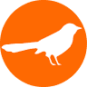 Lintukoto