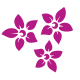 Las Violetas