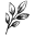 La Terre