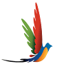 Latinoamerica Services