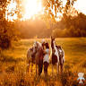 Laura Goode Photography
