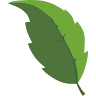 Leaf Interiors PTY Ltd.
