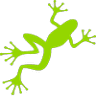 Leap Australasia