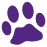 Learners on Lead Pet Dog Training