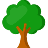Learning Tree of Fletcher