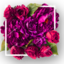 Lebouquet