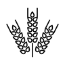Boulangerie le Caveau