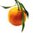 Le Clementine B&B