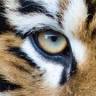 Recinto Lemuri