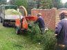 Leeds Tree Services