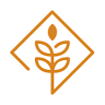 Leiber GmbH