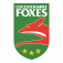 Leicestershire County Cricket Club