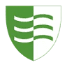 Solsikken