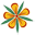 pharmacy Kuklik