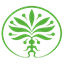 Lékárna Mandragora