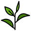 Leland Tea Company - Burlingame