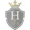 Hôtel SPA Le Lion d'Or