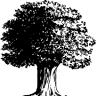 Le Marronnier