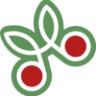 Le meraviglie della frutta