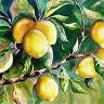 Lemon Tree Gallery and Studio
