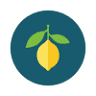 Lemon Tree Counseling and Wellness