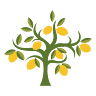 Lemon Tree Fine Foods