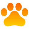 Leo Animali