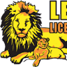 Leo's Electric Corporation