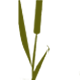 Hôtel-Restaurant Le Rivage
