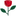 Le Rose Delle Rive