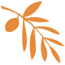 Les Terroirs - Restaurant Uzès