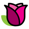 Fleuriste Alma: Les Gens Fleuris