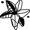 LES MAGNÒLIES