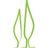Le Sodole Country Resort & Golf