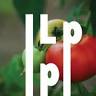 Les Petits Producteurs (en Neuvice)