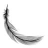 Les Pois Plumes