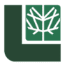 The Lester Group Inc