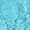 Let's Swim Barnet