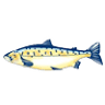 Levari's Seafood & American Grill