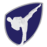 Level Up Taekwondo Davie