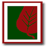 Lewis Lumber