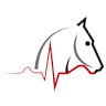 Lower House Equine Clinic